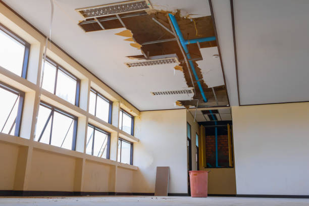 Best Ceiling water damage repair  in Mcnary, AZ