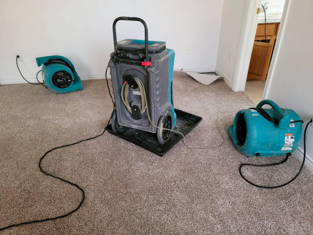 Professional Water damage restoration in Mcnary, AZ