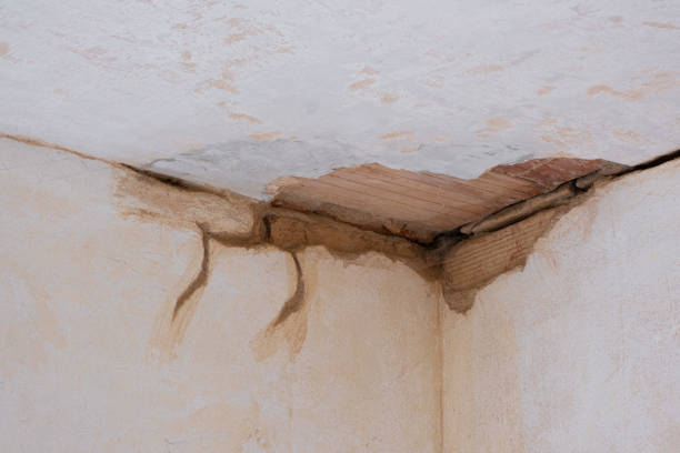 Best Emergency water damage restoration  in Mcnary, AZ