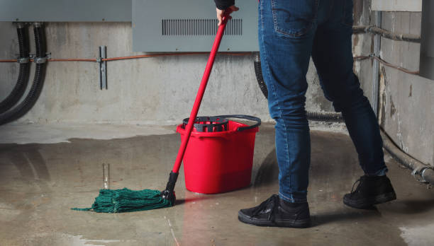 Best Water damage restoration near me  in Mcnary, AZ