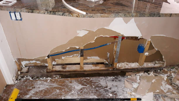 Best Water damage repair service  in Mcnary, AZ