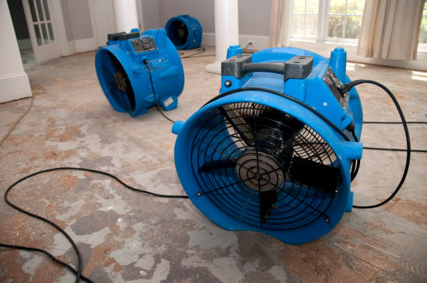 Fire Damage Restoration in Mcnary, AZ