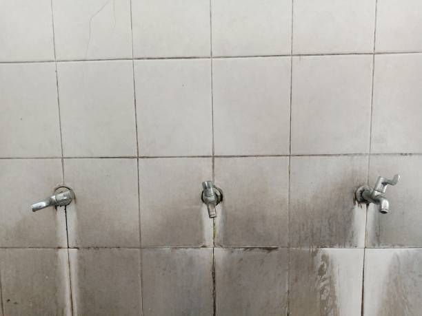 Best Water damage mitigation services  in Mcnary, AZ