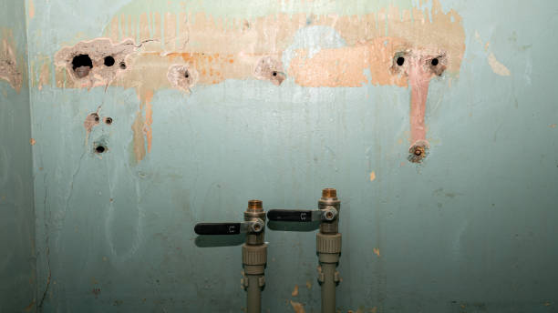 Best Sewage cleanup and water damage restoration  in Mcnary, AZ