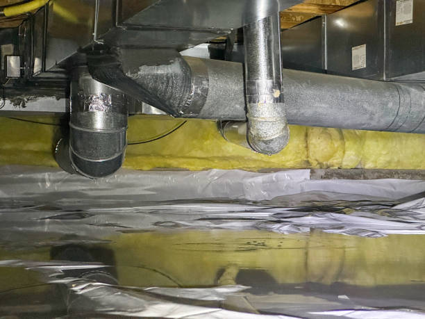 Best Water damage contractors near me  in Mcnary, AZ