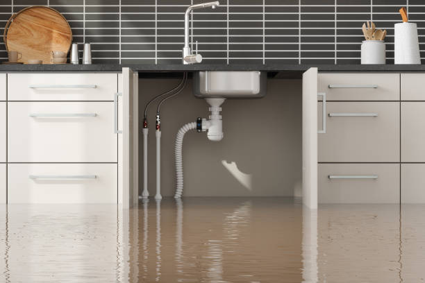 Best Fire Damage Restoration  in Mcnary, AZ