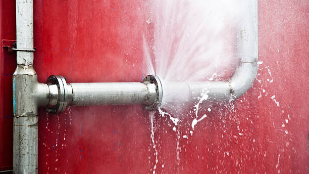 Best Mold removal after water damage  in Mcnary, AZ